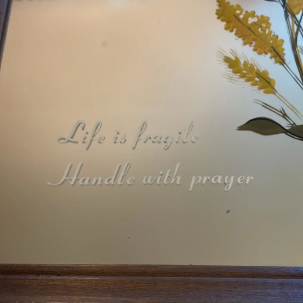 Vintage Framed Mirror with Butterfly and Auote